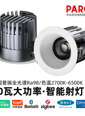 剧院报告厅大功率嵌入式射灯0-10V智能DALI调光调色DMX512筒灯