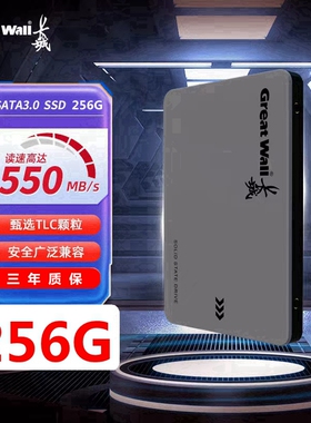 Great Wall/长城GW560全新256G512G固态硬盘2.5寸SSD硬盘