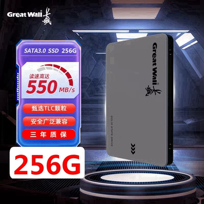 Great Wall/长城GW560全新256G512G固态硬盘2.5寸SSD硬盘