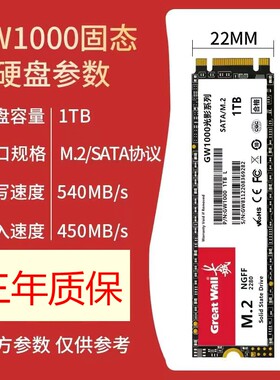 Great Wall/长城GW1000全新1T高速M2固态SATA协议硬盘SSD硬盘