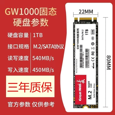 Great Wall/长城GW1000全新1T高速M2固态SATA协议硬盘SSD硬盘