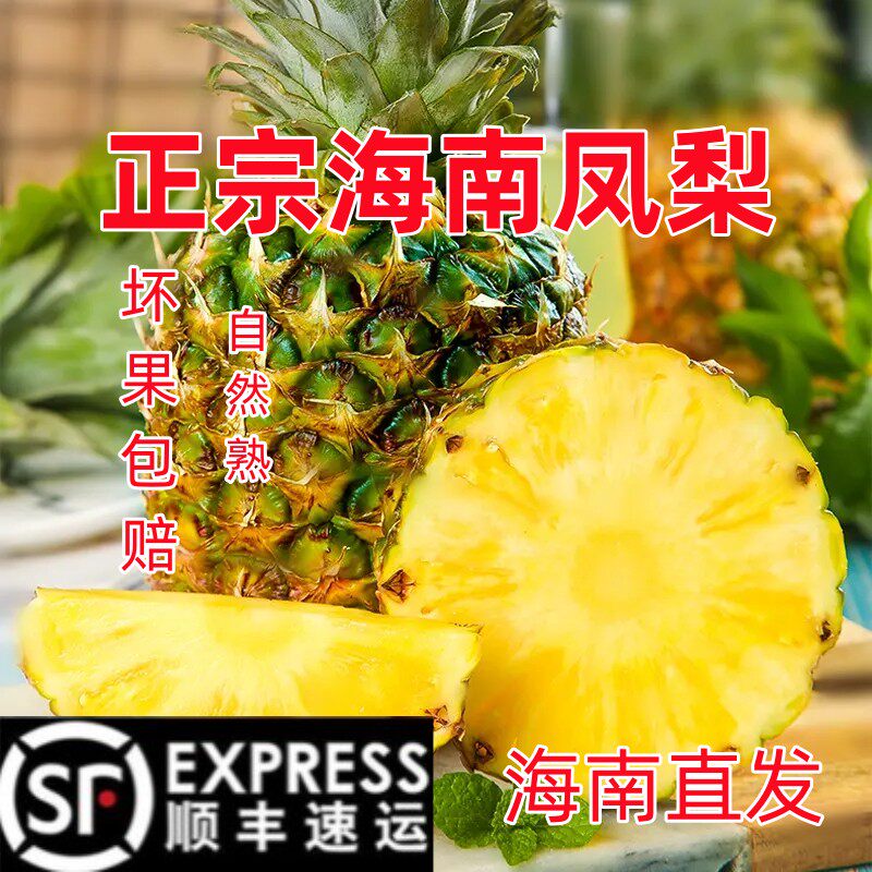 顺丰包邮海南凤梨树上熟图片