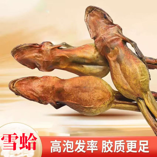 雪蛤干整只林蛙干雪哈油林蛙油