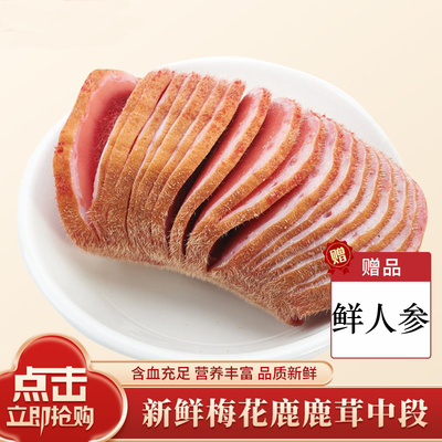 新鲜梅花鹿鹿茸中段 100克 产地直发 新鲜带血连刀发货 泡酒煲汤