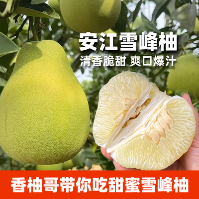 安江雪峰柚安江柚小苦柚小土柚子新鲜水果白心现摘当季有点微微苦