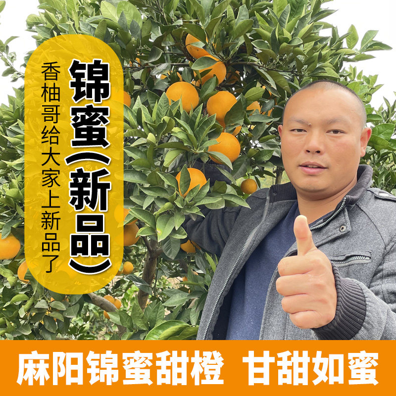 湖南麻阳冰糖橙锦密甜橙净重5斤9斤当季新鲜水果薄皮现摘甜橙子,水产肉类/新鲜蔬果/熟食,橙,淘宝优惠券,粉丝福利购,淘宝优惠卷