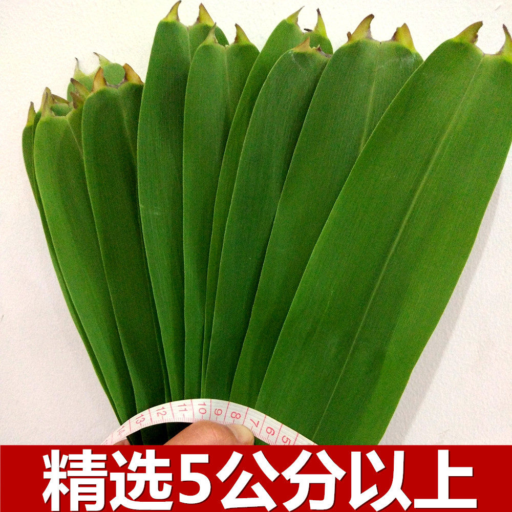 芦苇叶现摘新鲜包粽子