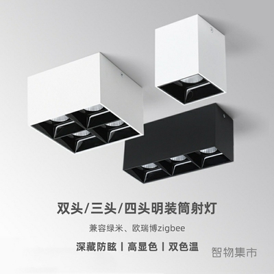 适用欧瑞博绿米智能吸顶灯极简无主灯防眩光客厅明装射灯斗胆灯