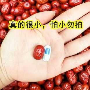 【新货】沧州金丝小枣农家自产自销小红枣优质红枣煲汤煮粥商用枣