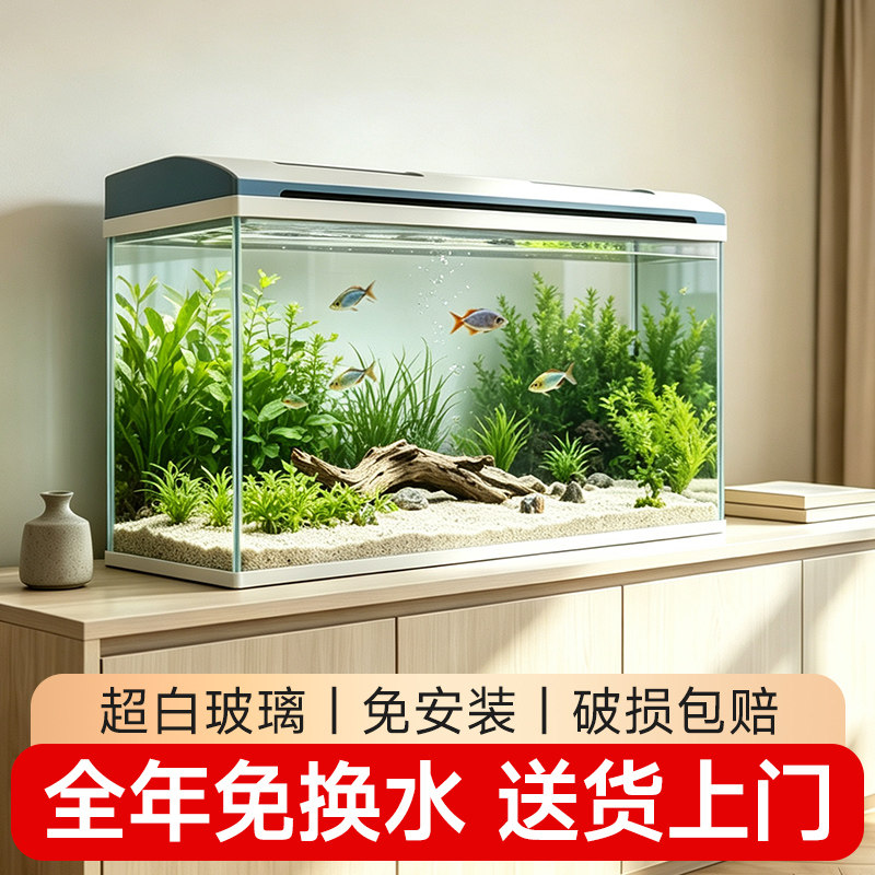 超白玻璃鱼缸过滤制氧一体机客厅中小型免换水生态家用造景水族箱