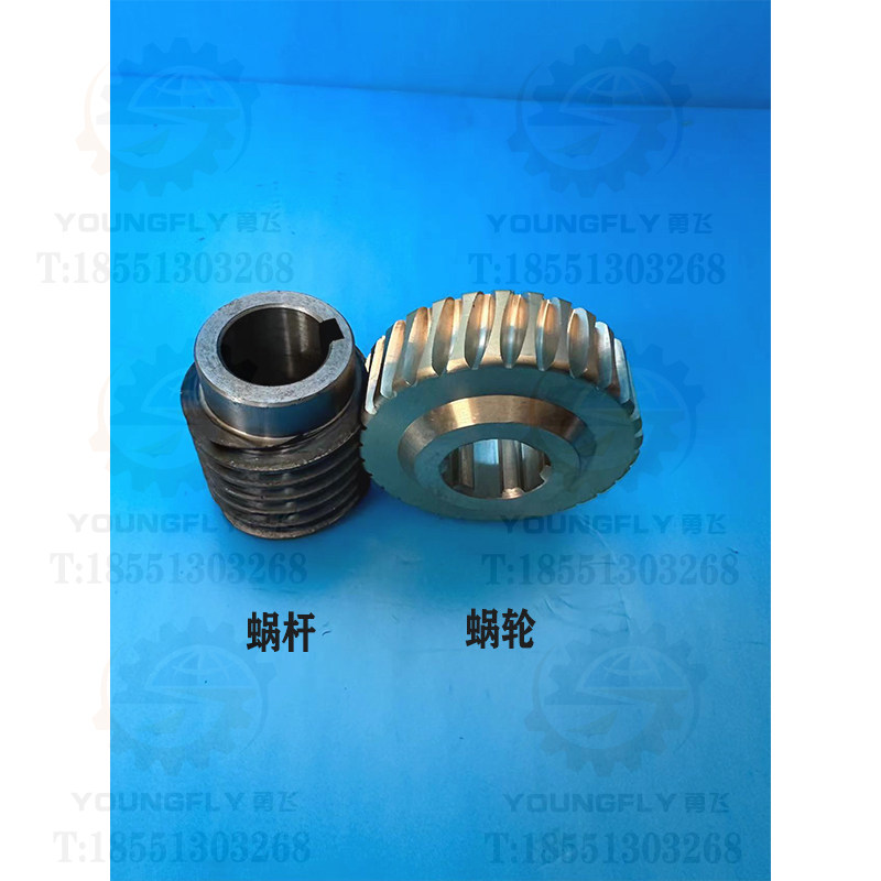 兰州星火cw6163d cw6180d车床溜板箱30齿铜蜗轮 蜗杆