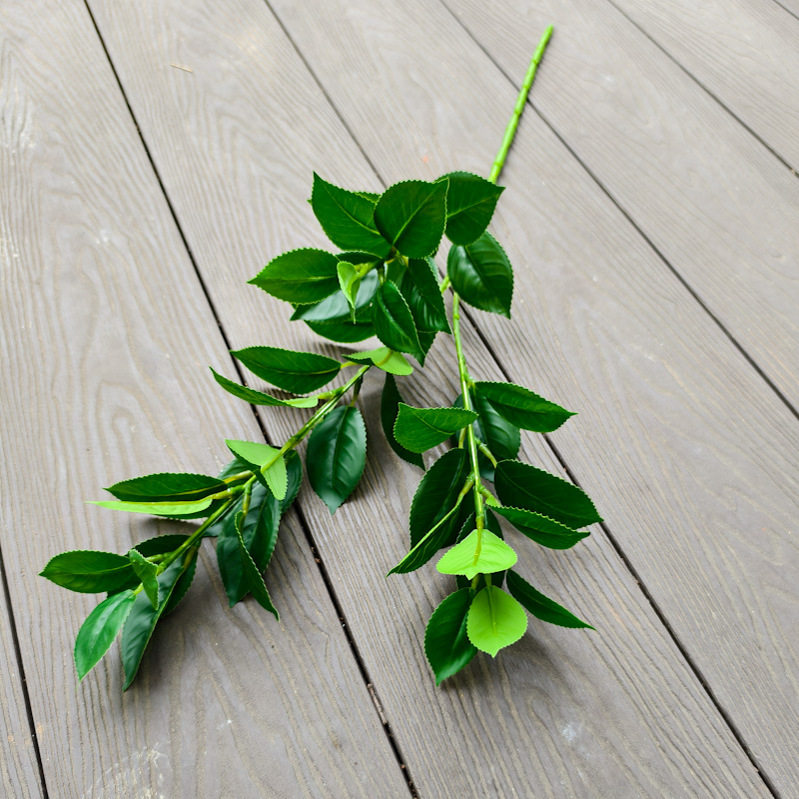 仿真山茶叶茶树叶茶树枝塑料假茶树叶造景装饰假绿植假叶子装饰叶