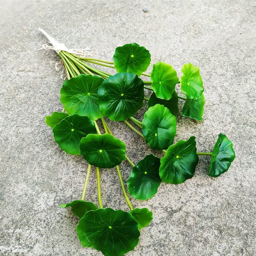 单支手感铜钱草绿色植物假叶子