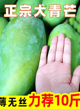 海南芒果正宗青芒10斤