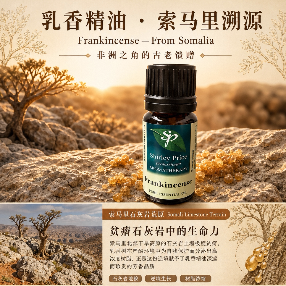 英国SP/Shirley Price索马里乳香精油提拉紧致细纹熟龄肌冥想5ML