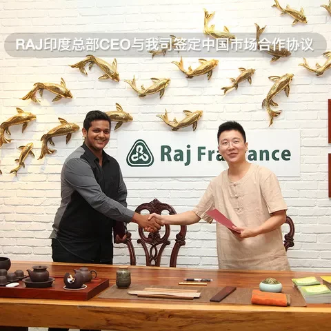 沉香线香料手工达摩RAJ香薰藏香香檀香印度香老塔香进口熏香正品