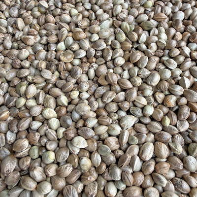 鹦鹉纸壳麻子玄凤小太阳和尚鹦鹉种子粮 火麻仁麻籽 火麻鸟食鸟粮