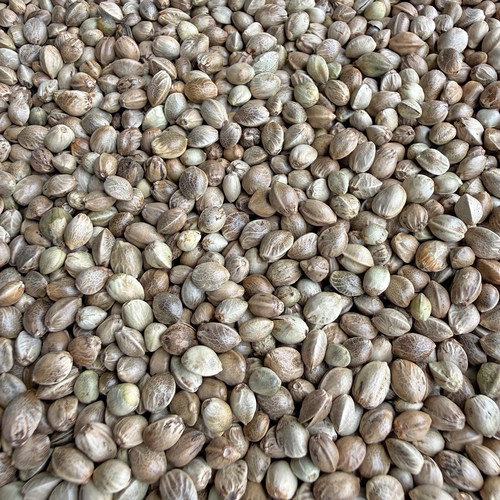 鹦鹉纸壳麻子玄凤小太阳和尚鹦鹉种子粮 火麻仁麻籽 火麻鸟食鸟粮