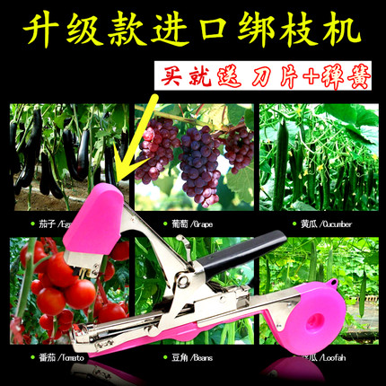 绑黄瓜绑枝机胶带绑枝神器葡萄西红柿绑枝机绑藤绑蔓器捆绑机钉子
