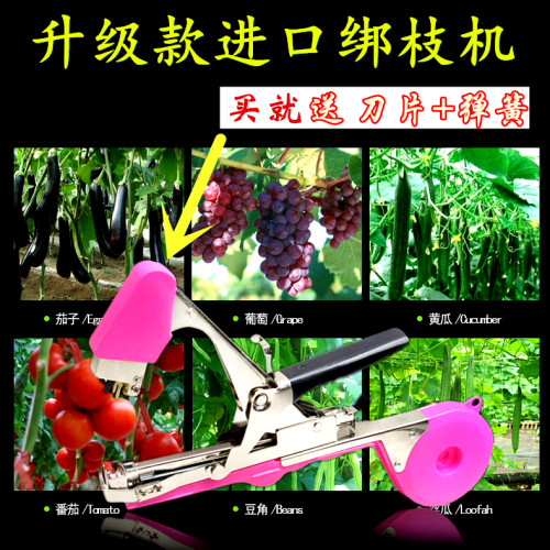 绑黄瓜绑枝机胶带绑枝神器葡萄西红柿绑枝机绑藤绑蔓器捆绑机钉子