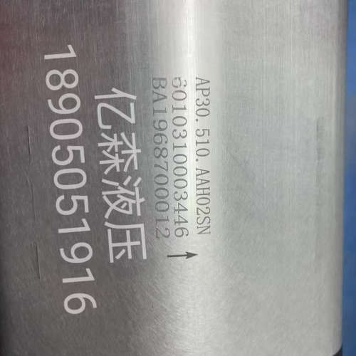 国产替代BLUE ASCEND土耳其AP30/AP20系列齿轮泵AP30.510.AAH02SN