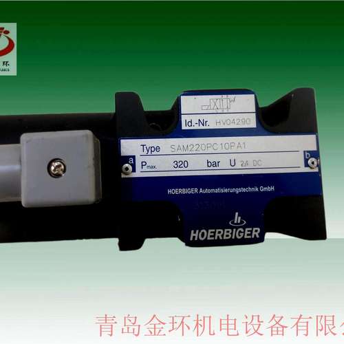 SAM220PC10P  HV04290 SAM220PC06PG S0973 HV08417 HOERBIGER