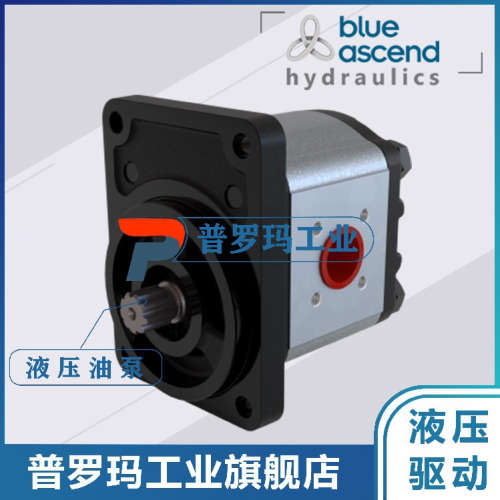 土耳其BLUE ASCEND齿轮泵AP20.160/220/250/280/320/115.CGL01SN