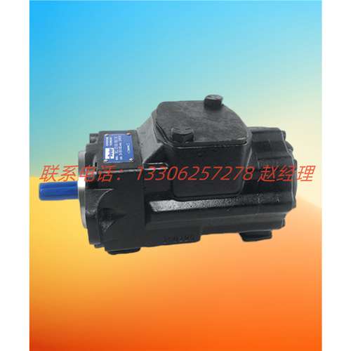 美国DENISON丹尼逊多联液压泵T6EE-052-052-2L01+T6C-025-3L03-B1