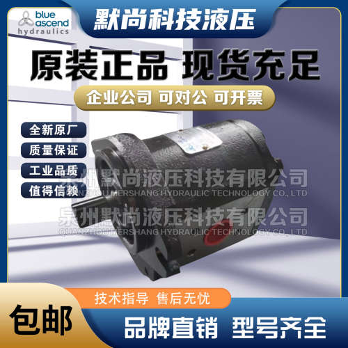 土耳其BLUE ASCEND齿轮泵DKP20.115 DKP20.140 DKP20.160液压油泵
