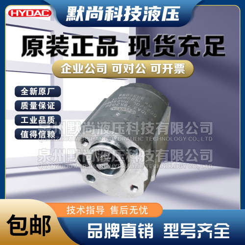 贺德克HYDAC齿轮泵PGE100-25/30/50/75/100/125/150/175/200-RMK1