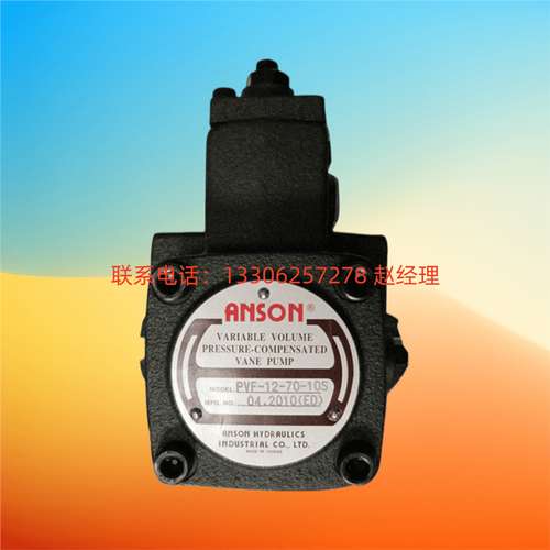 VD12-A-12S VD12-B-12S VD12-C-12S -D-12S台湾ANSON安颂叶片泵