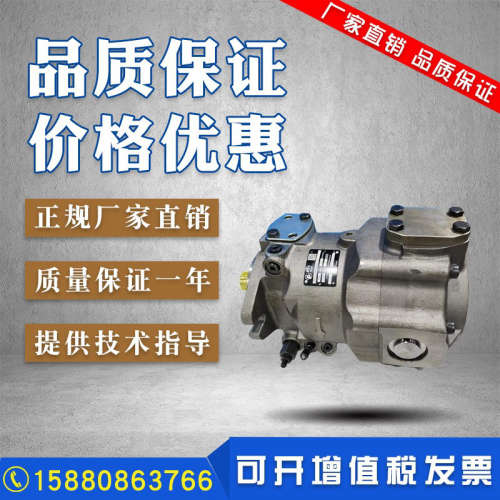 现货派克系列PARKER派克柱塞泵PAVC10038R422，PAVC100R4222油泵