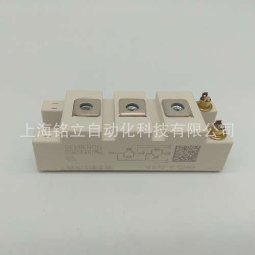 模块SKM22GD123D/SKM25GD125D/SKM40GD123D/SKM40GDL123D