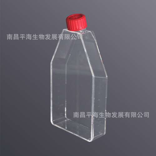 13342 175c㎡细胞培养瓶(透气盖多聚-D-赖氨酸包被表面)