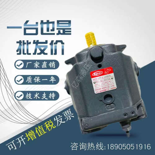 日本Toyooki丰兴柱塞油泵HPP-VD2V-F31A3/F31A5/L31A3/L31A5-A/B