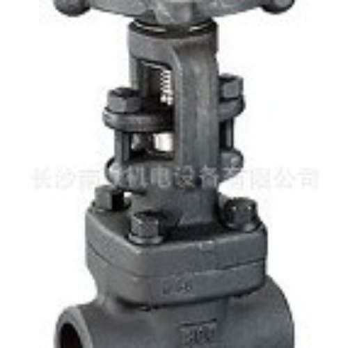 供应TLV BE3L波纹管密封截止阀 蒸汽波纹管截止阀