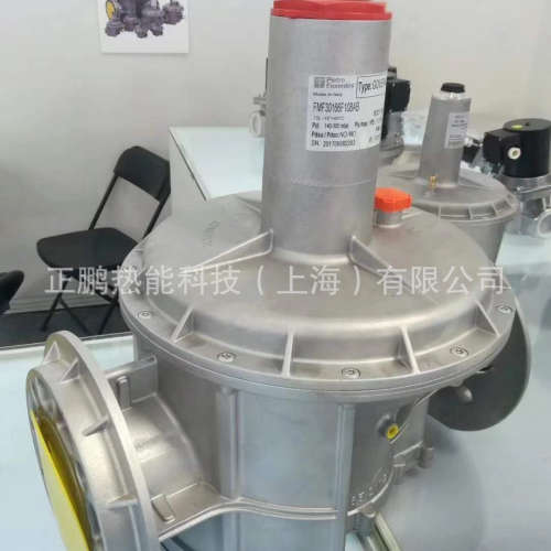 意大利Fiorentini菲奥减压阀FMF30167F107AB 调压阀膜片现货特惠