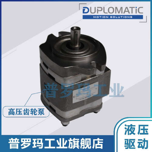 意大利DUPLOMATiC油泵IGP5/IGP6-032/40/50/64/80/100/125-R01/10