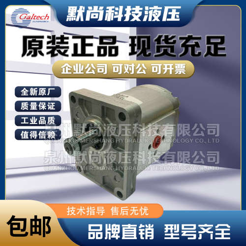 高泰克Galtech齿轮马达2SM-G-040/060/080/110/140-D-EUR-H油马达