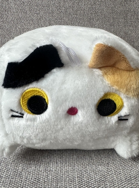 跨境热卖卡通方形猫咪抱枕软萌毛绒玩具raise a floppa方块猫毛绒
