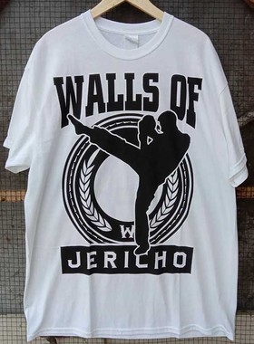 万圣节乐团Walls of Jericho专辑周边短袖T恤chic美式重磅棉潮tee