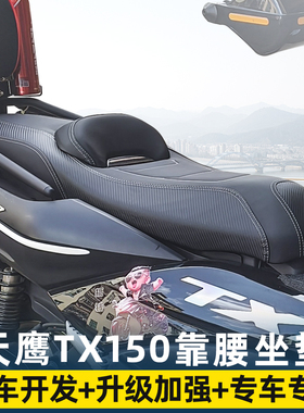 适用钱江QJ迅150天鹰TX250力帆蓝鲟降低坐垫腰靠座垫总成改装配件