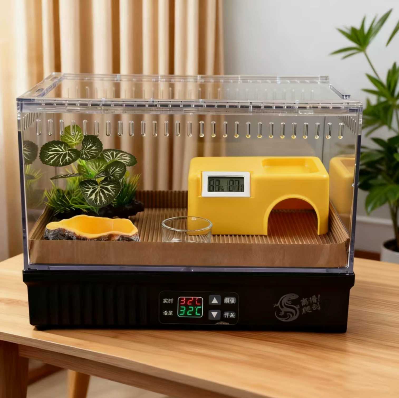 守宫饲养盒中号爬虫爬宠蜘蛛蝎子蜥蜴乌龟角蛙饲养盒套盒加热垫,宠物/宠物食品及用品,爬宠缸/箱,淘宝优惠券,粉丝福利购,淘宝优惠卷