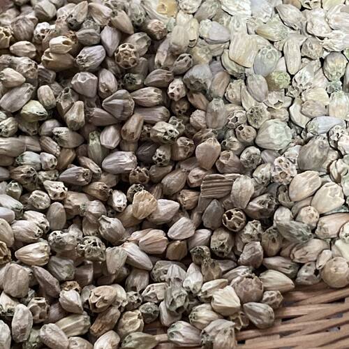 仁杰老师道地好物 藏品莲100克*袋