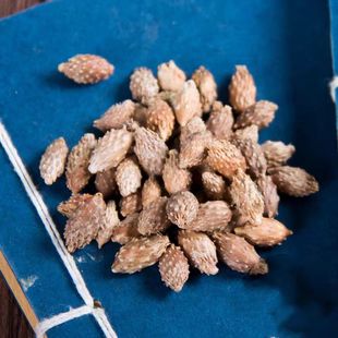 【仁杰老师】鼻子粉 苍耳子粉