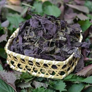 【仁杰老师】紫苏核桃唐500克 无添加