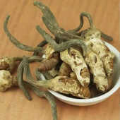 蒸蛋吃 大虫草 仁杰老师 蝉茸干货