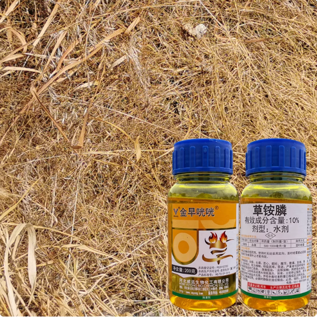 金早咣咣威远生化10%草铵膦农药非耕地除杂草药龙葵狗尾草除草剂 - 实物图
