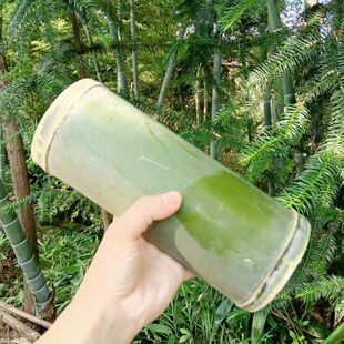 新鲜楠竹竹筒中间无节毛料两头堵两头空竹片竹条风筝鸟笼篱笆雕刻
