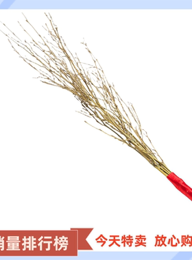 手工家用楠竹鞭教竹枝竹条子鞭戒尺家用竹鞭竹条细软鞭条教育神器